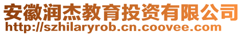 安徽潤杰教育投資有限公司