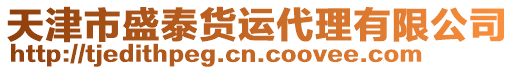 天津市盛泰貨運代理有限公司