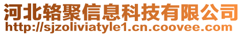 河北輅聚信息科技有限公司