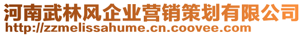 河南武林風(fēng)企業(yè)營銷策劃有限公司