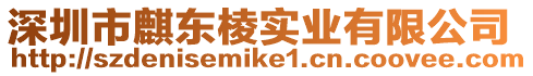 深圳市麒東棱實業(yè)有限公司