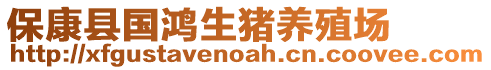 ?？悼h國(guó)鴻生豬養(yǎng)殖場(chǎng)