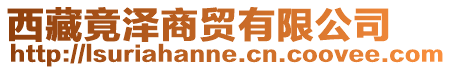 西藏竟?jié)缮藤Q有限公司