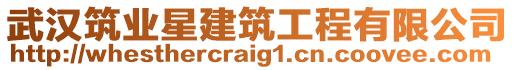 武漢筑業(yè)星建筑工程有限公司