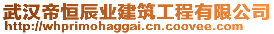 武漢帝恒辰業(yè)建筑工程有限公司