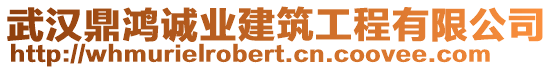 武漢鼎鴻誠業(yè)建筑工程有限公司