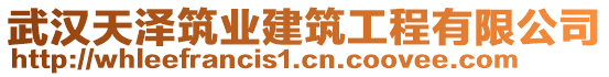 武漢天澤筑業(yè)建筑工程有限公司