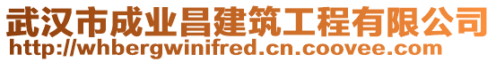 武漢市成業(yè)昌建筑工程有限公司