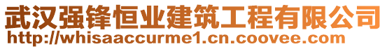 武漢強(qiáng)鋒恒業(yè)建筑工程有限公司