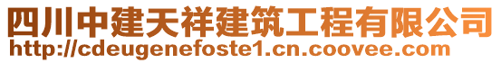 四川中建天祥建筑工程有限公司