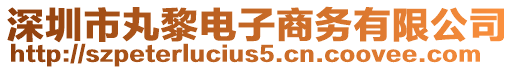 深圳市丸黎電子商務有限公司