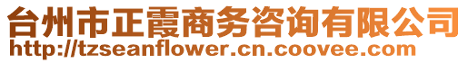 臺(tái)州市正霞商務(wù)咨詢有限公司