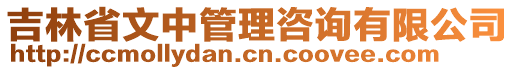 吉林省文中管理咨询有限公司