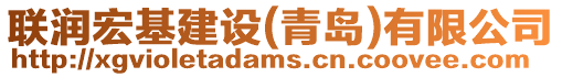 聯(lián)潤(rùn)宏基建設(shè)(青島)有限公司