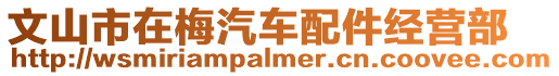 文山市在梅汽車配件經營部