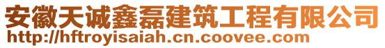 安徽天誠(chéng)鑫磊建筑工程有限公司