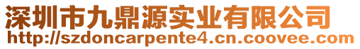 深圳市九鼎源實業(yè)有限公司