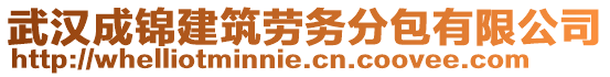 武漢成錦建筑勞務(wù)分包有限公司