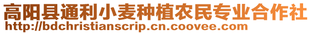 高陽縣通利小麥種植農民專業(yè)合作社