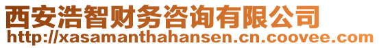 西安浩智財務(wù)咨詢有限公司