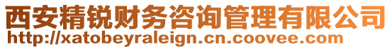 西安精銳財務咨詢管理有限公司