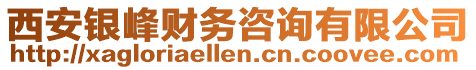西安銀峰財務咨詢有限公司