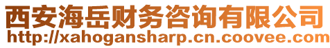 西安海岳財務咨詢有限公司