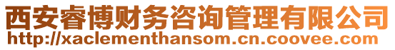 西安睿博財務咨詢管理有限公司