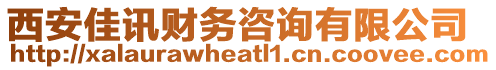 西安佳訊財務(wù)咨詢有限公司