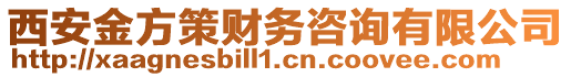 西安金方策財務咨詢有限公司