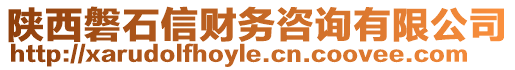 陜西磐石信財務咨詢有限公司