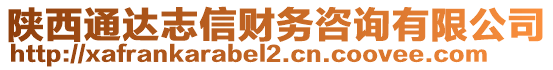 陜西通達志信財務咨詢有限公司