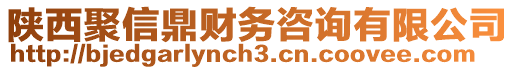 陜西聚信鼎財(cái)務(wù)咨詢有限公司