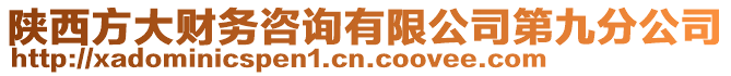 陜西方大財(cái)務(wù)咨詢有限公司第九分公司