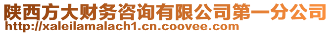 陜西方大財務咨詢有限公司第一分公司