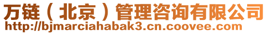 萬鏈(北京)管理咨詢有限公司