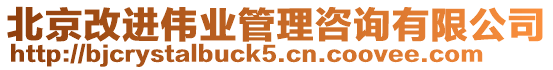 北京改進偉業(yè)管理咨詢有限公司