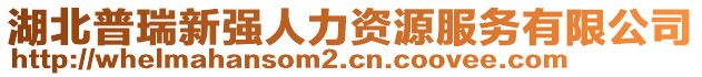 湖北普瑞新強人力資源服務有限公司