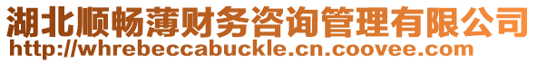 湖北順暢薄財務咨詢管理有限公司
