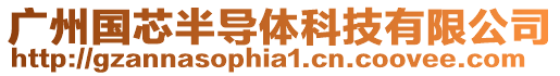 廣州國(guó)芯半導(dǎo)體科技有限公司