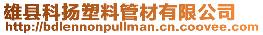 雄縣科揚塑料管材有限公司