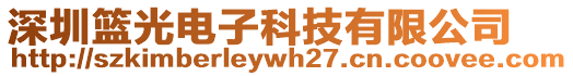 深圳籃光電子科技有限公司