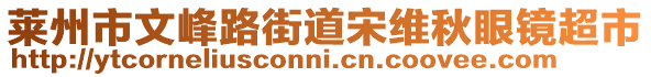 萊州市文峰路街道宋維秋眼鏡超市