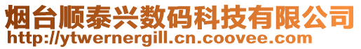 煙臺順泰興數(shù)碼科技有限公司