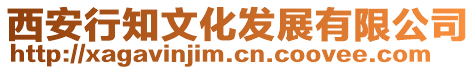 西安行知文化發(fā)展有限公司