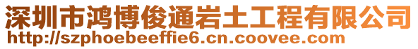 深圳市鴻博俊通巖土工程有限公司