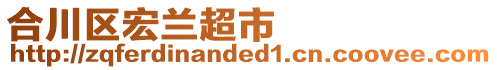 合川區(qū)宏蘭超市