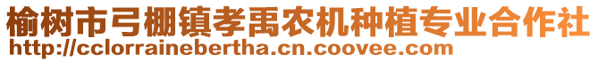 榆樹市弓棚鎮(zhèn)孝禹農(nóng)機種植專業(yè)合作社