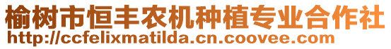 榆樹(shù)市恒豐農(nóng)機(jī)種植專(zhuān)業(yè)合作社