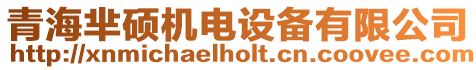 青海羋碩機電設備有限公司
